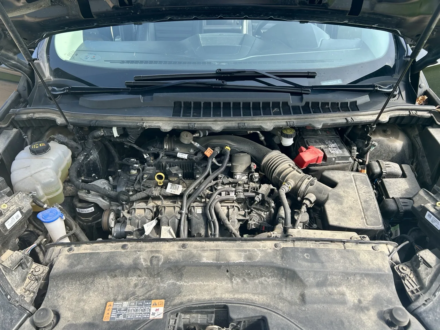 Engine bay before detailing by NorthLine Detailing