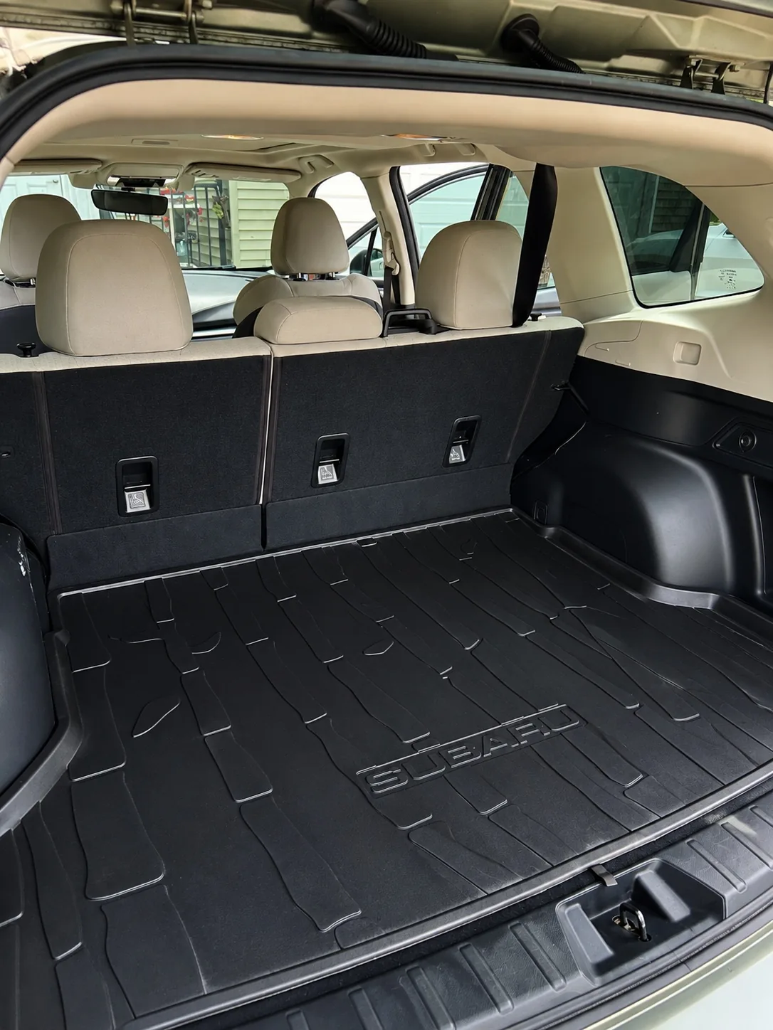 Vehicle exterior detailed by NorthLine Detailing